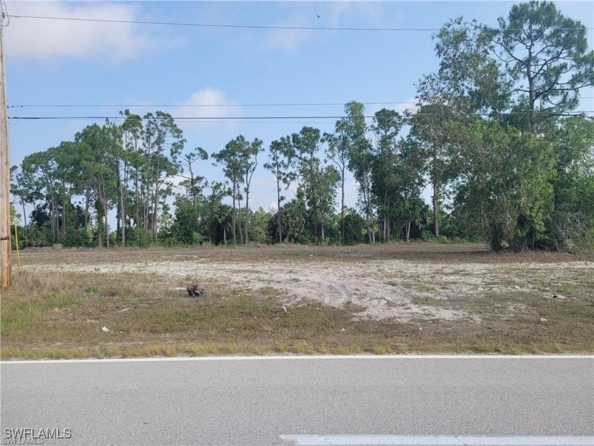 Beautiful lot on freshwater Gator Slough Canal. Lots of new - photo 4