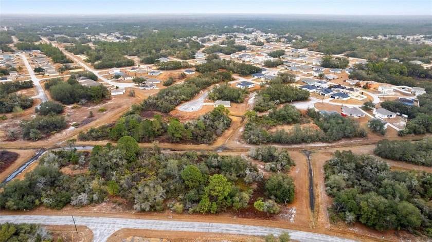 SPECIAL OPPORTUNITY located in the growing community of - photo 3
