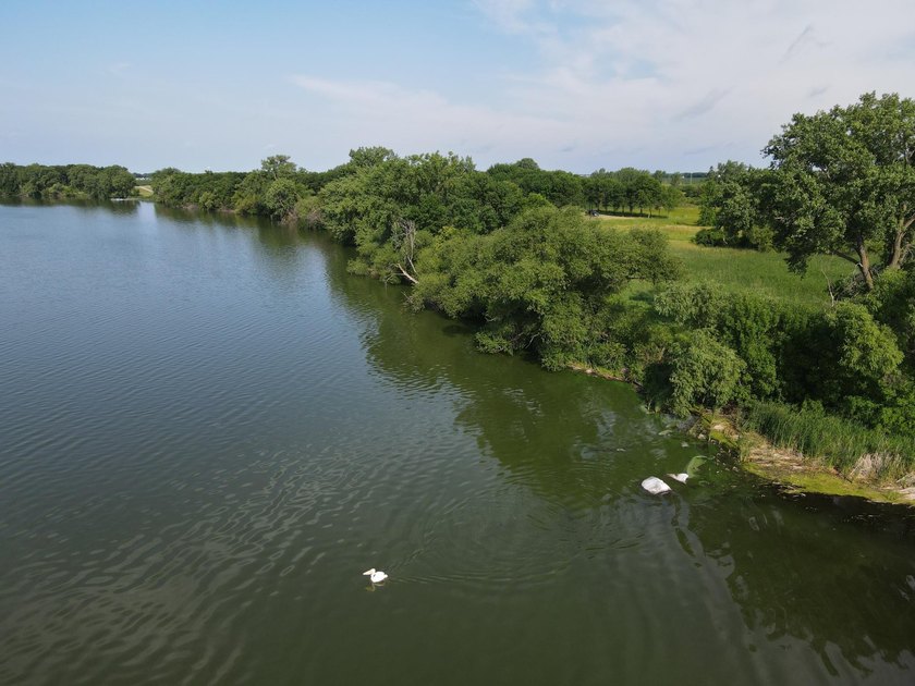 Discover the endless possibilities on this exceptional 46+ acre - photo 14