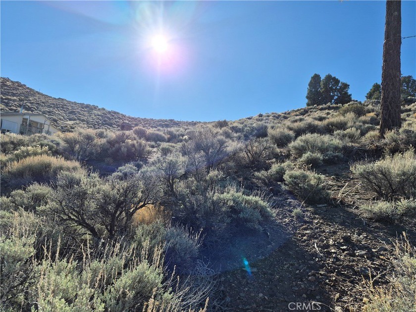 Rustic Canyon - photo 3