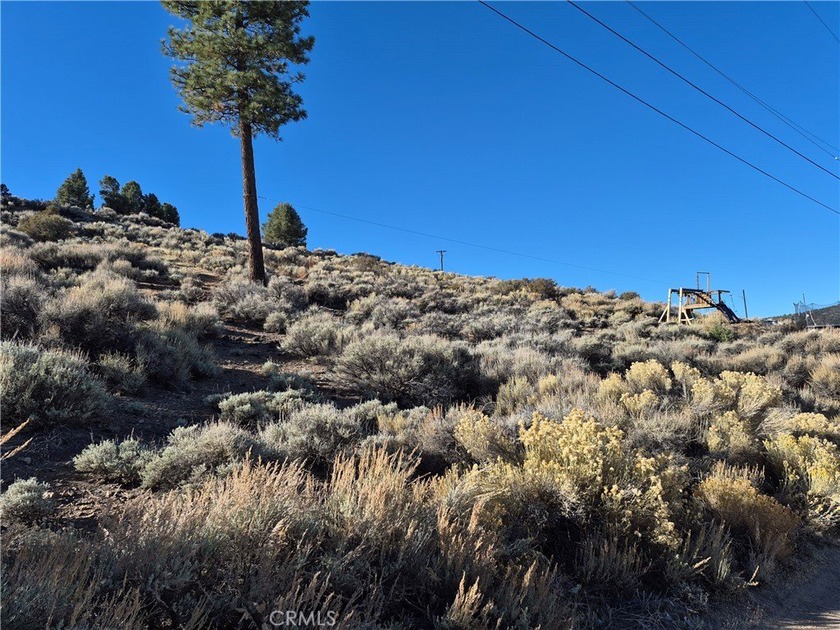 Rustic Canyon - photo 6