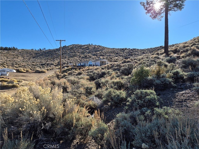 Rustic Canyon - photo 10