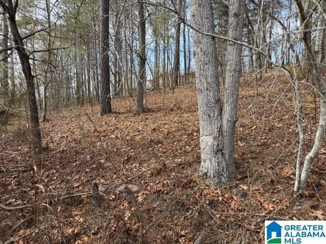 Very buildable lot just off the Big Tallapoosa in Ratley's Cove - photo 5