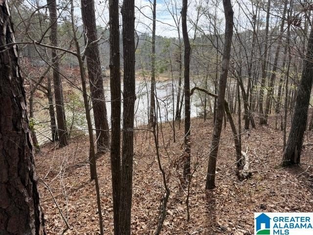 Very buildable lot just off the Big Tallapoosa in Ratley's Cove - photo 6