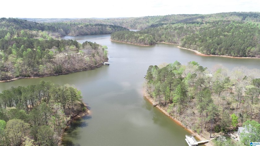 Very buildable lot just off the Big Tallapoosa in Ratley's Cove - photo 8