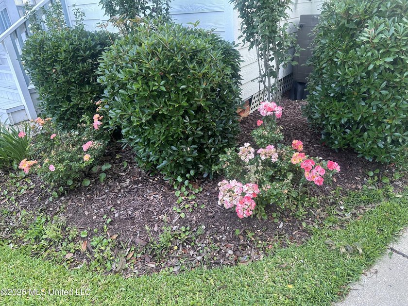 Very nice cozy home, walking distance to downtown, the - photo 5