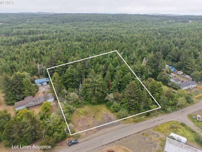 2 ACRES,CITY SERVICES, DIVIDABLE Discover the possibilities with - photo 4