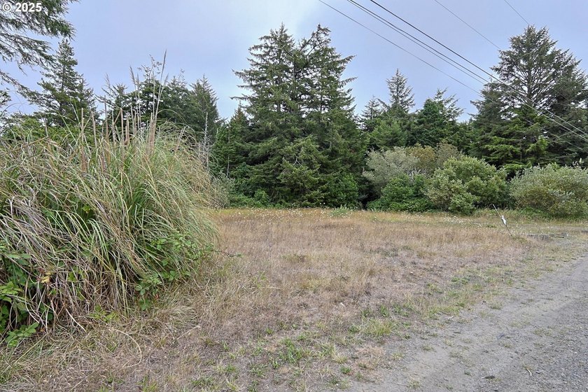 2 ACRES,CITY SERVICES, DIVIDABLE Discover the possibilities with - photo 9