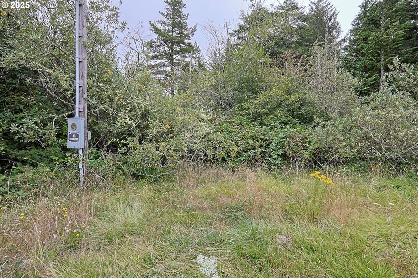 2 ACRES,CITY SERVICES, DIVIDABLE Discover the possibilities with - photo 10