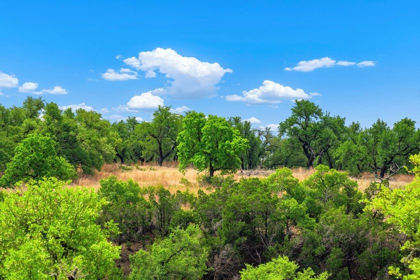 Adobe Springs Ranch is an exceptional 77.59 acre Hill Country - photo 12