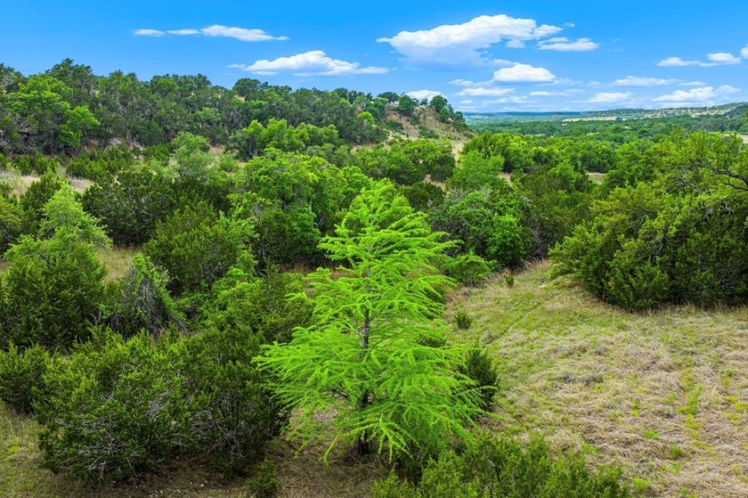 Adobe Springs Ranch is an exceptional 77.59 acre Hill Country - photo 13