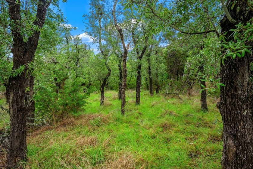 Adobe Springs Ranch is an exceptional 77.59 acre Hill Country - photo 14