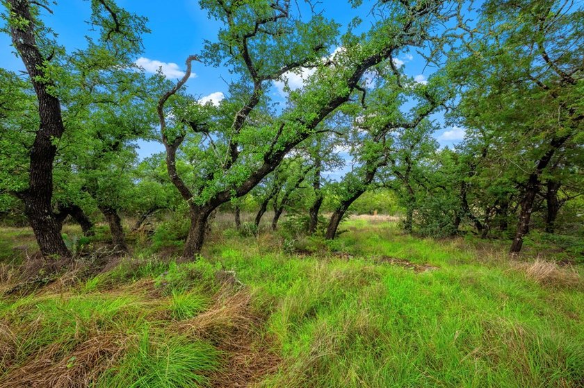 Adobe Springs Ranch is an exceptional 77.59 acre Hill Country - photo 15