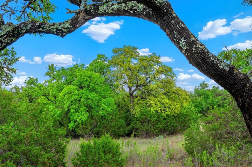 Adobe Springs Ranch is an exceptional 77.59 acre Hill Country - photo 16