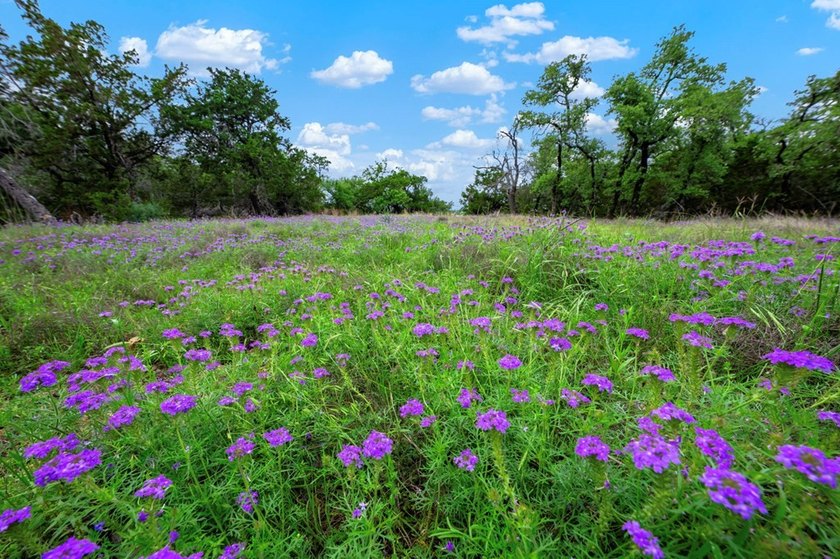 Adobe Springs Ranch is an exceptional 77.59 acre Hill Country - photo 18