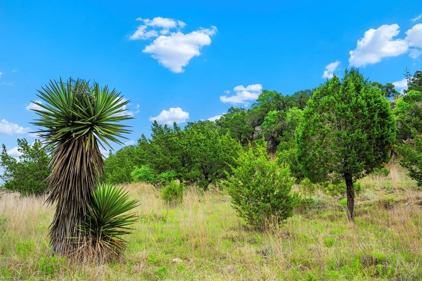 Adobe Springs Ranch is an exceptional 77.59 acre Hill Country - photo 21