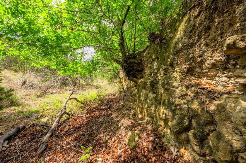 Adobe Springs Ranch is an exceptional 77.59 acre Hill Country - photo 22