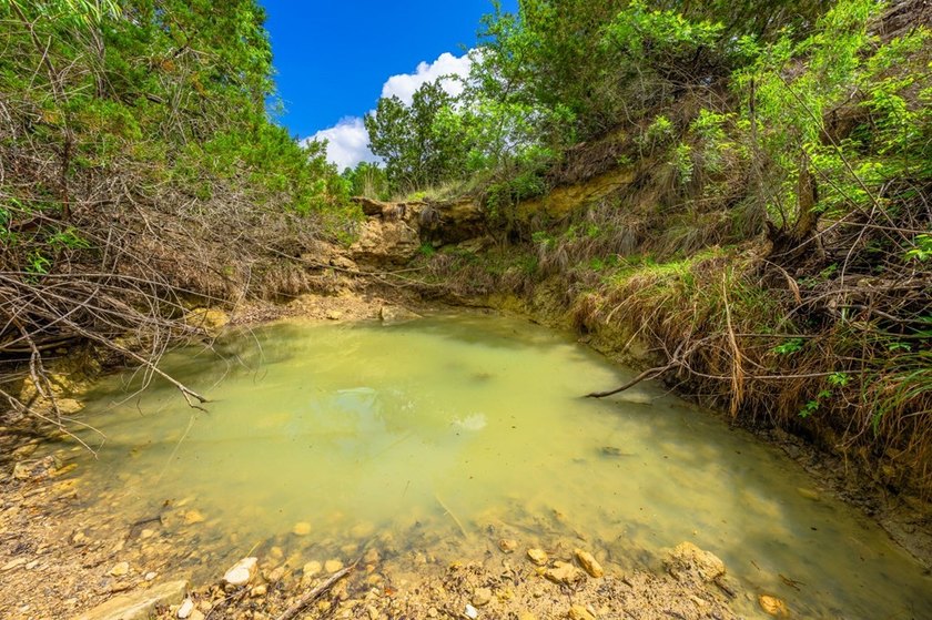 Adobe Springs Ranch is an exceptional 77.59 acre Hill Country - photo 23