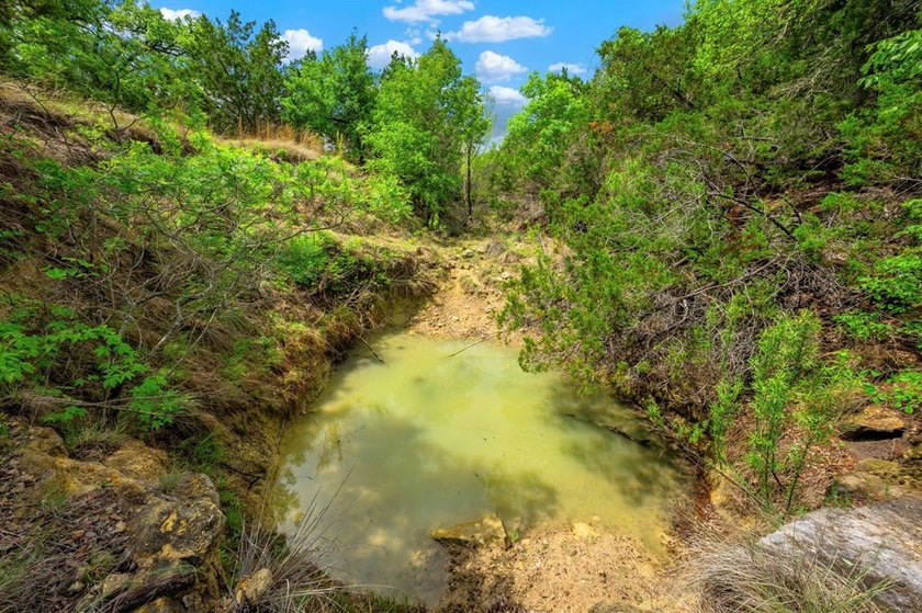 Adobe Springs Ranch is an exceptional 77.59 acre Hill Country - photo 24