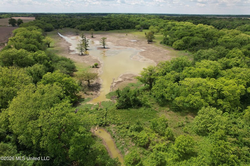 145+/- acres for sale in Coahoma County, located on Jenkins Road - photo 2
