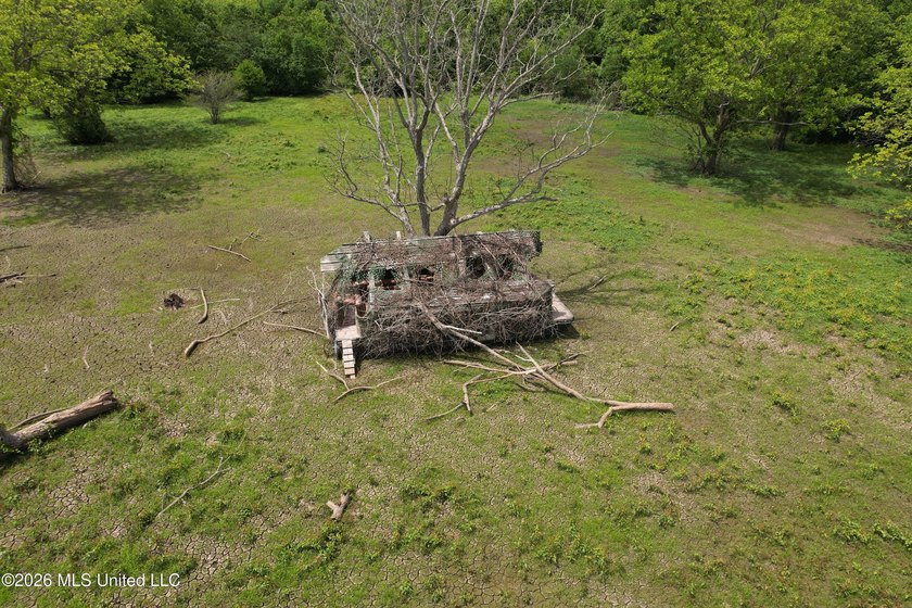 145+/- acres for sale in Coahoma County, located on Jenkins Road - photo 5