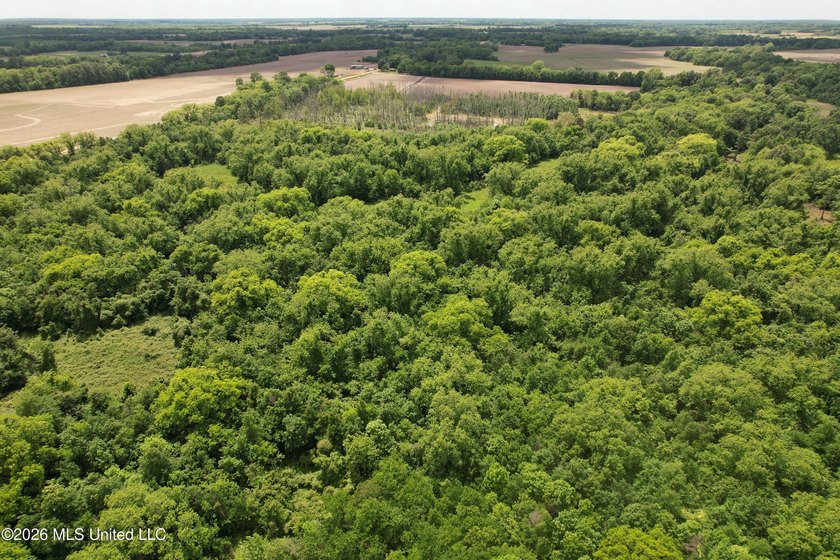 145+/- acres for sale in Coahoma County, located on Jenkins Road - photo 7