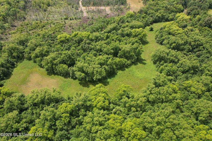 145+/- acres for sale in Coahoma County, located on Jenkins Road - photo 8