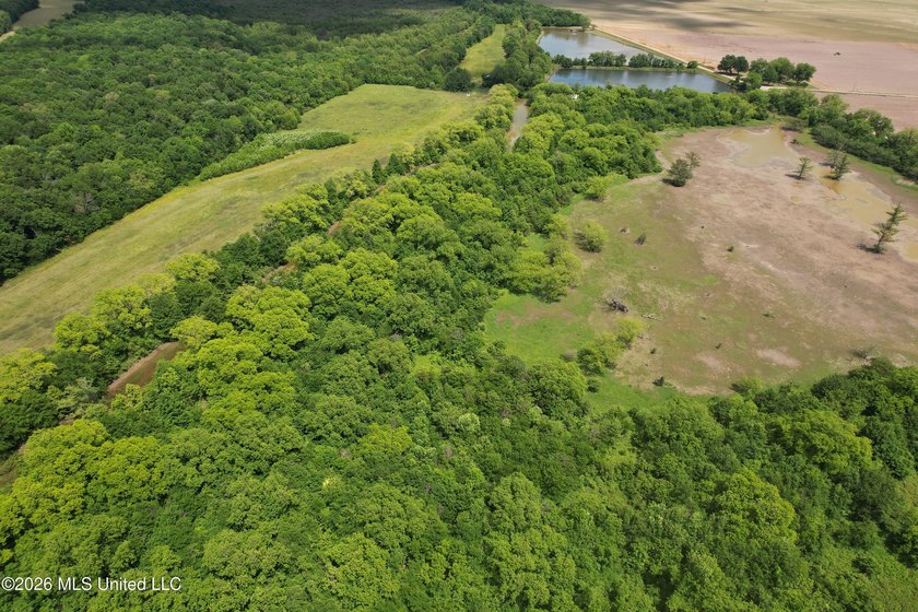 145+/- acres for sale in Coahoma County, located on Jenkins Road - photo 9