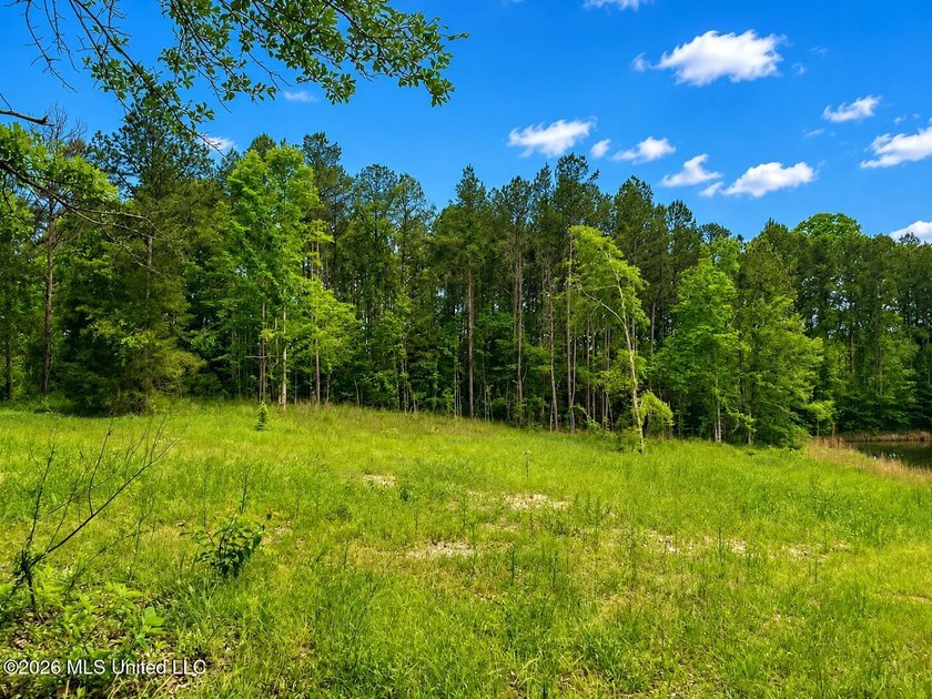 Looking for the perfect place to build your dream home? Look no - photo 2