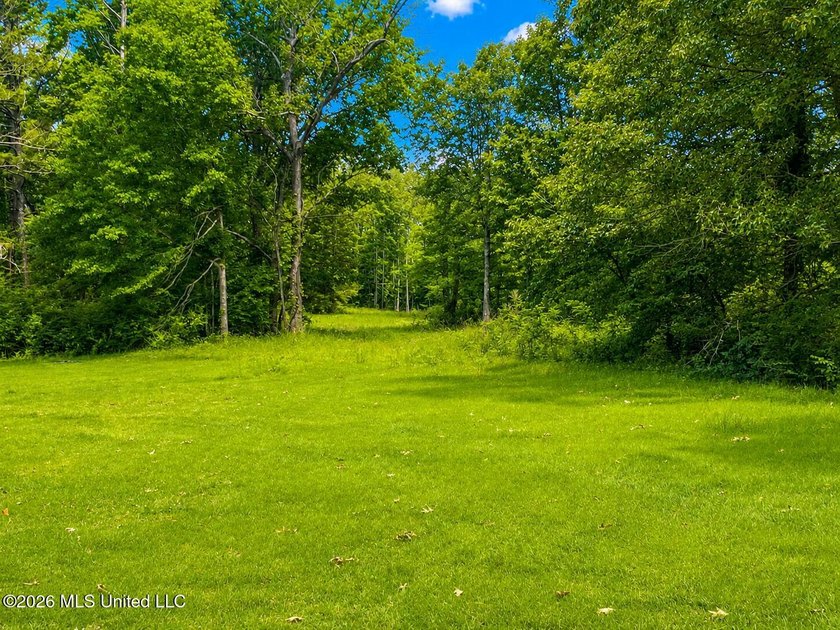 Looking for the perfect place to build your dream home? Look no - photo 3