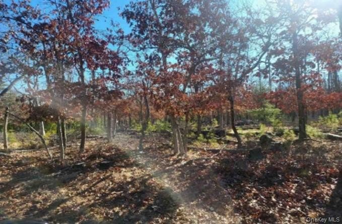 PRIME 11.8 ACRE PARCEL IN EAST HAMPTON, ALOT OF POTENTIAL FOR - photo 3