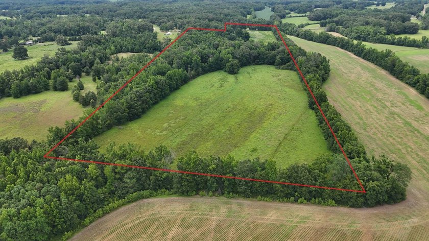 Fully Fenced, Pond, and Just 1 Mile from Hwy 82! Exceptional - photo 2