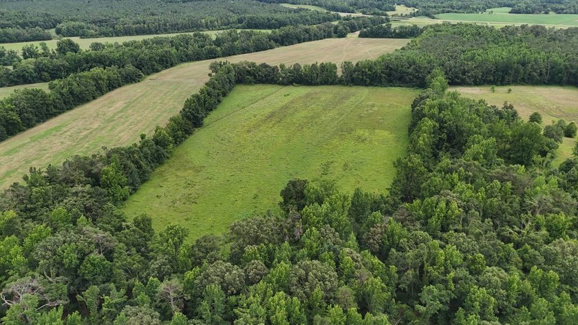 Fully Fenced, Pond, and Just 1 Mile from Hwy 82! Exceptional - photo 5
