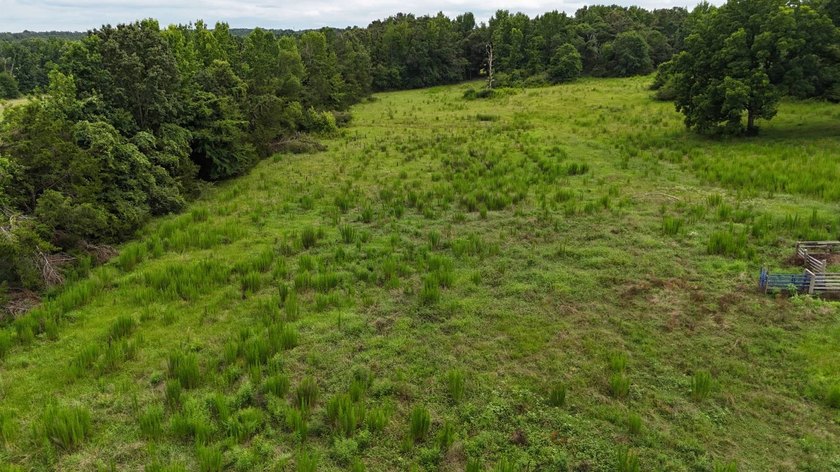 Fully Fenced, Pond, and Just 1 Mile from Hwy 82! Exceptional - photo 9