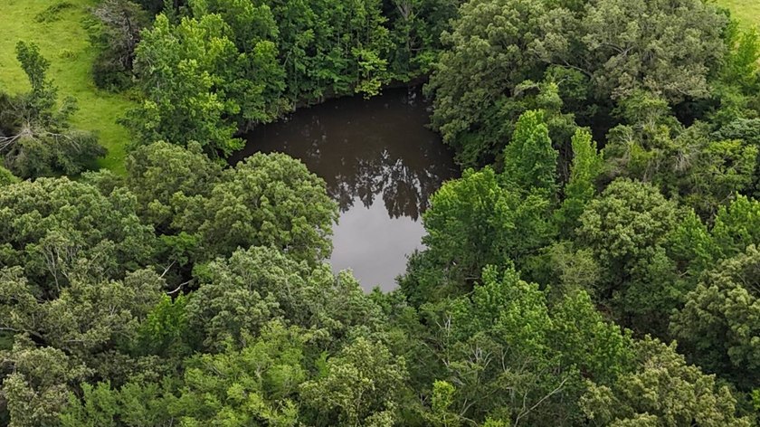 Fully Fenced, Pond, and Just 1 Mile from Hwy 82! Exceptional - photo 10