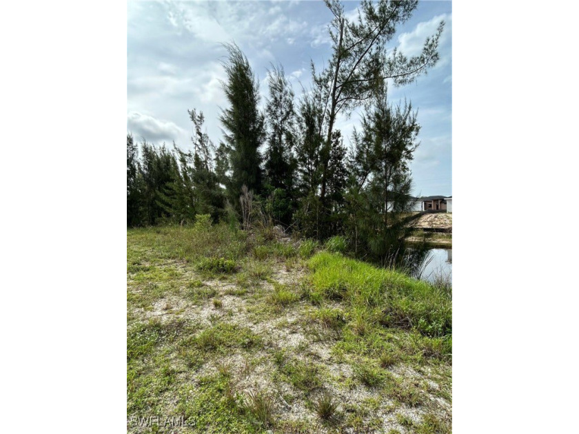 Navigable Freshwater Lot in NW Cape Coral - Access to Multiple - photo 4
