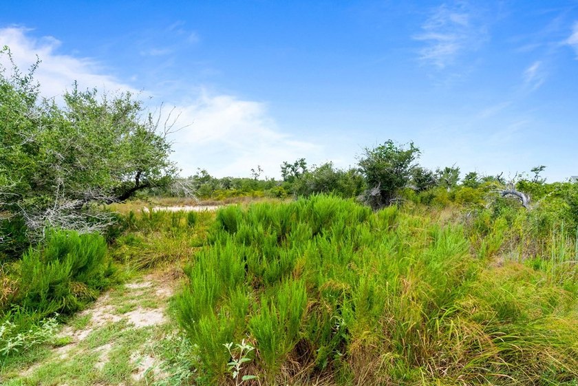 New Price!!! $220,000 Cleared and ready for your plans. Almost 3 - photo 8