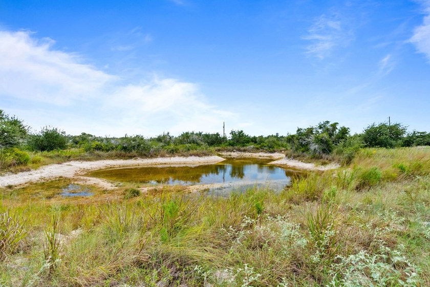 New Price!!! $220,000 Cleared and ready for your plans. Almost 3 - photo 9