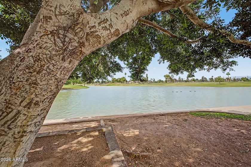 Seize the chance to own this end-unit townhome in Dobson Glen - photo 29