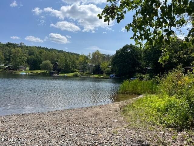 Your chance to own and build near serene and beautiful Goose - photo 5