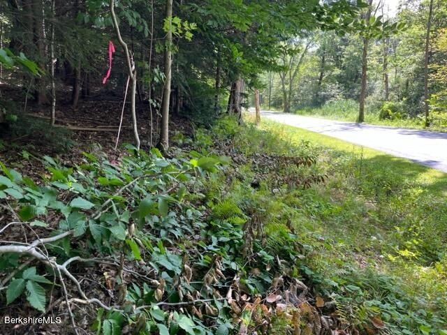 Your chance to own and build near serene and beautiful Goose - photo 8