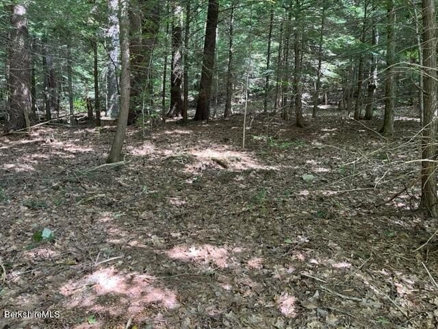 Your chance to own and build near serene and beautiful Goose - photo 9