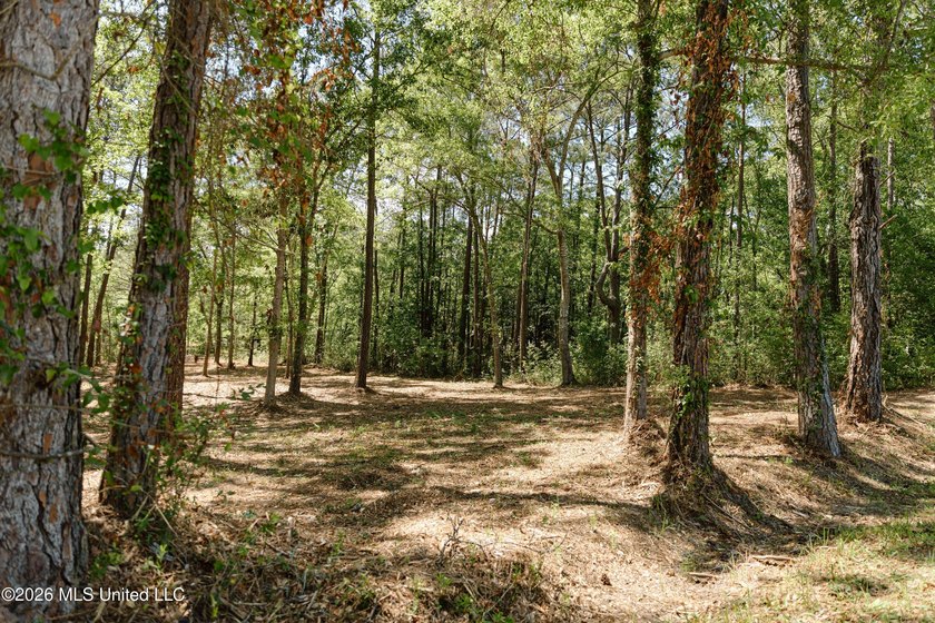 Your search for deep-water access in South Gautier is over! This - photo 2