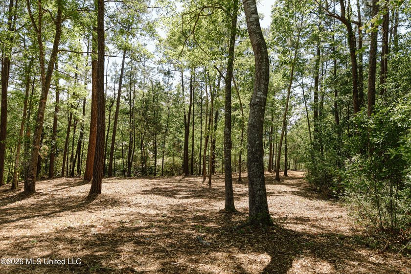Your search for deep-water access in South Gautier is over! This - photo 4