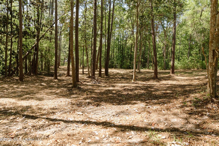 Your search for deep-water access in South Gautier is over! This - photo 6