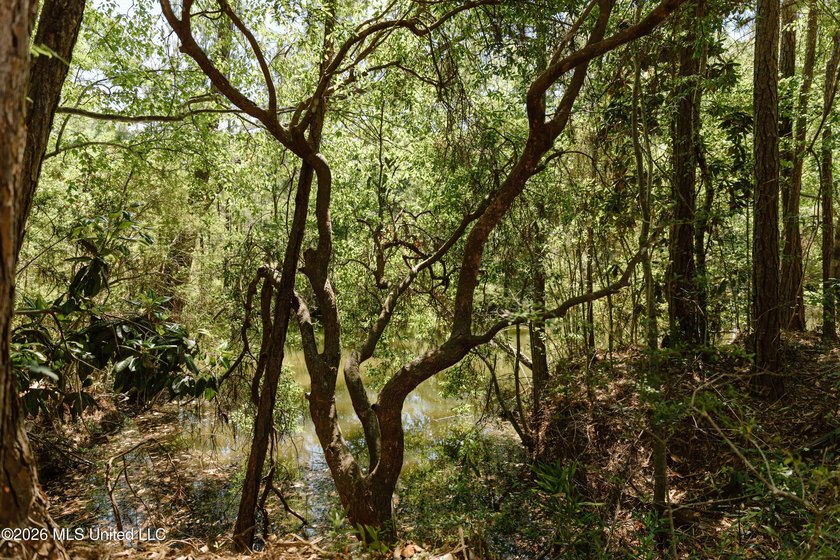 Your search for deep-water access in South Gautier is over! This - photo 7