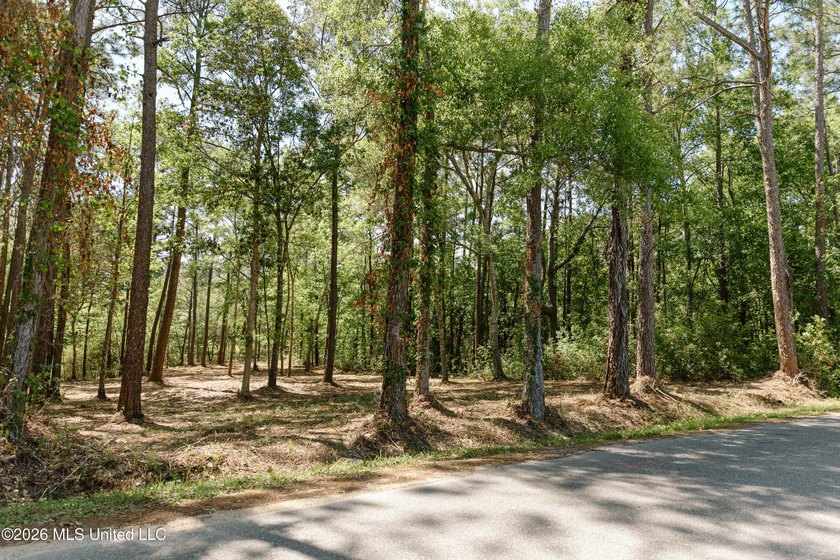 Your search for deep-water access in South Gautier is over! This - photo 8