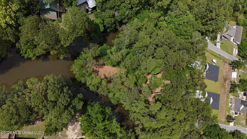 Your search for deep-water access in South Gautier is over! This - photo 9
