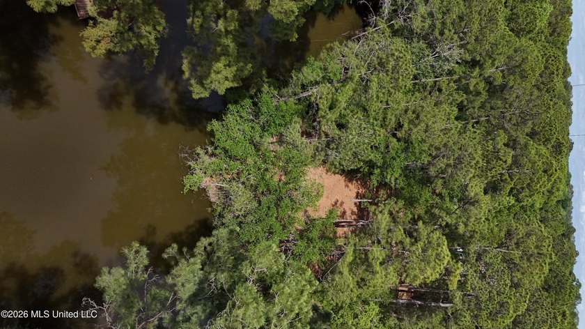 Your search for deep-water access in South Gautier is over! This - photo 10
