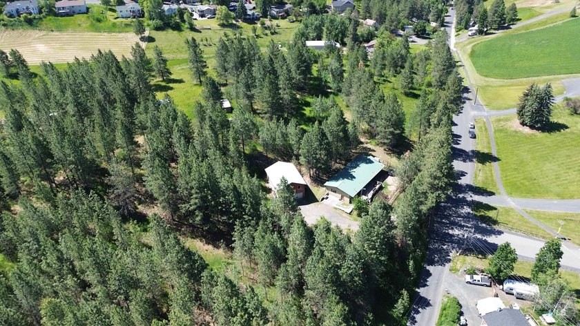 Private 1.4 +/- acre wooded parcel is located on the outskirts - photo 12